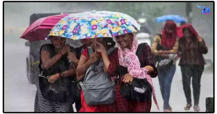Schools Leave: மழை காரணமாக பல்வேறு மாவட்டங்களில் பள்ளி, கல்லூரிகளுக்கு விடுமுறை (15.11.2023) - முழு விவரம்