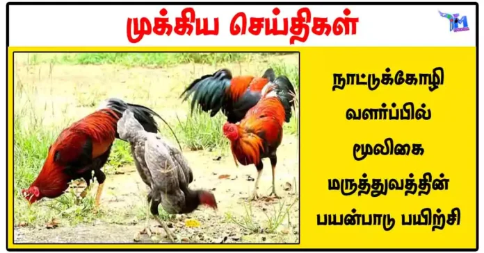 நாட்டுக்கோழி வளர்ப்பில் மூலிகை மருத்துவத்தின் பயன்பாடு பயிற்சி