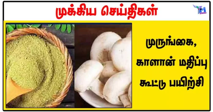 முருங்கை, காளான் மதிப்பு கூட்டு பயிற்சி