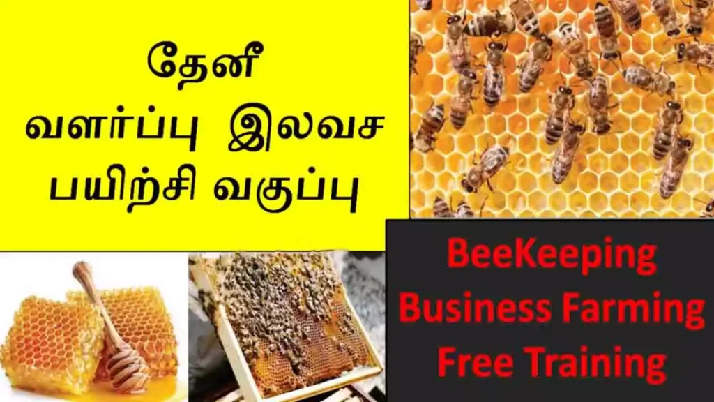 தேனீக்கள் வளர்ப்பு பயிற்சி வகுப்பு - 30 நாட்கள் இலவசப் பயிற்சி 1 தேனீக்கள் வளர்ப்பு பயிற்சி வகுப்பு - 30 நாட்கள் இலவசப் பயிற்சி