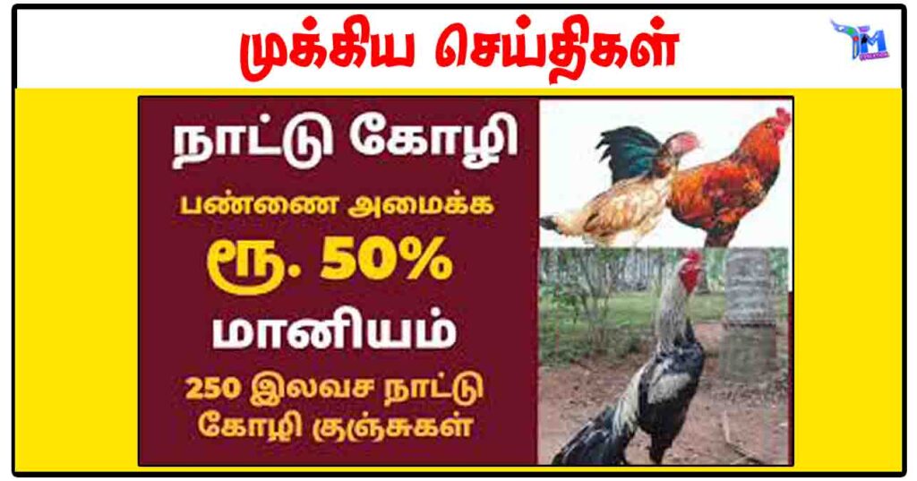 50% மானியத்தில் நாட்டுக்கோழி பண்ணை அமைக்க தமிழக அரசு அழைப்பு