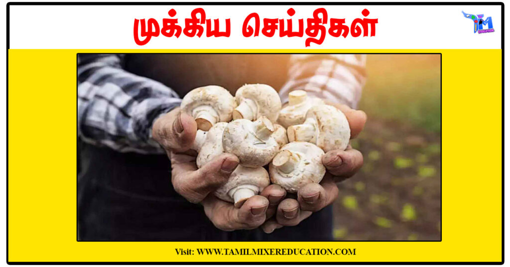 காளான் வளர்ப்பு பயிற்சி: சென்னை வேளாண் பல்கலைக்கழகம் அழைப்பு