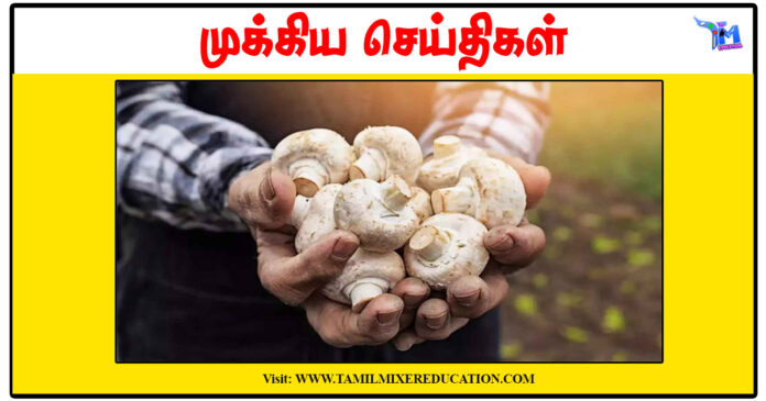 காளான் வளர்ப்பு பயிற்சி: சென்னை வேளாண் பல்கலைக்கழகம் அழைப்பு