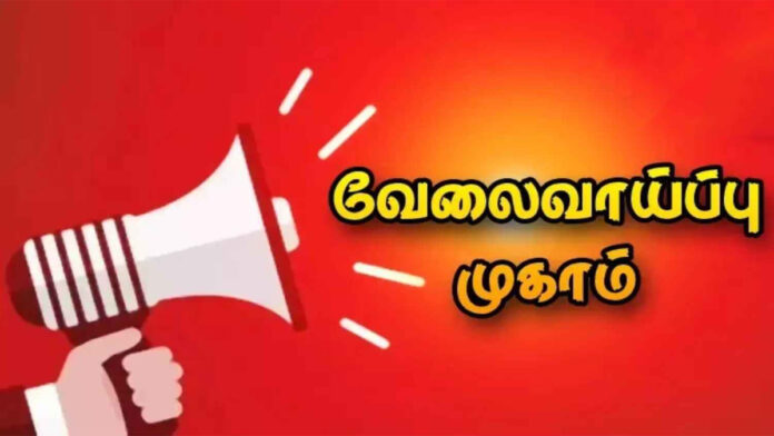 மார்ச் 21 திருவண்ணாமலை மாவட்டத்தில் தனியார் துறை சிறப்பு வேலைவாய்ப்பு முகாம்