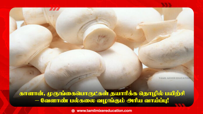 காளான், முருங்கைபொருட்கள் தயாரிக்க தொழில் பயிற்சி – வேளாண் பல்கலை வழங்கும் அரிய வாய்ப்பு! 🌿🍄