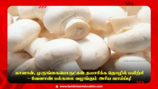 காளான், முருங்கைபொருட்கள் தயாரிக்க தொழில் பயிற்சி – வேளாண் பல்கலை வழங்கும் அரிய வாய்ப்பு! 🌿🍄