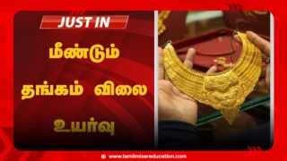 🪙 இன்று தங்கம் விலை மீண்டும் உயர்வு – சவரனுக்கு ₹560 அதிகரிப்பு!