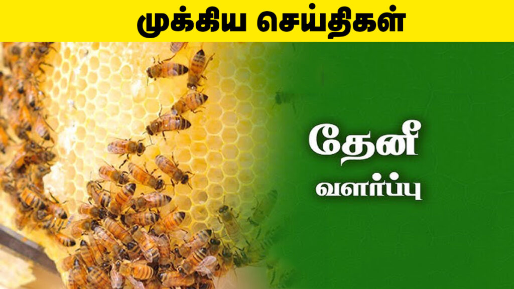 கோவை வேளாண் பல்கலை – தேனீ வளர்ப்பு ஒரு நாள் பயிற்சி (2025) 🐝🌼 1 கோவை வேளாண் பல்கலை – தேனீ வளர்ப்பு ஒரு நாள் பயிற்சி (2025) 🐝🌼