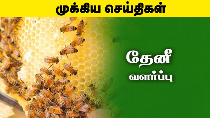 கோவை வேளாண் பல்கலை – தேனீ வளர்ப்பு ஒரு நாள் பயிற்சி (2025) 🐝🌼