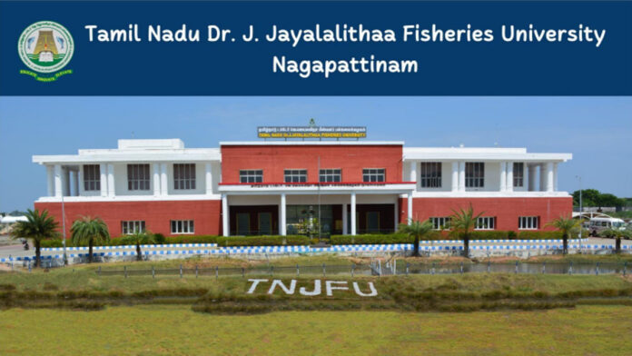🎓 தமிழ்நாடு ஜெயலலிதா பல்கலைக்கழகத்தில் வேலைவாய்ப்பு 2025 – Assistant Professor & Junior Assistant பணிக்கு விண்ணப்பிக்குங்க! 📮