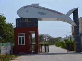 🧑‍🔧 தமிழ்நாடு டாக்டர் ஜெ. ஜெயலலிதா பல்கலைக்கழகம் வேலைவாய்ப்பு 2025 – Electrician, Field Assistant, Manager பணிக்கு ரூ.30,000 வரை சம்பளம்!