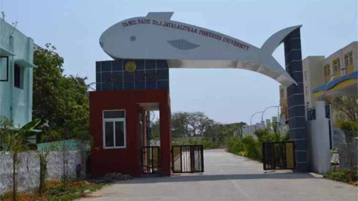 🧑‍🔧 தமிழ்நாடு டாக்டர் ஜெ. ஜெயலலிதா பல்கலைக்கழகம் வேலைவாய்ப்பு 2025 – Electrician, Field Assistant, Manager பணிக்கு ரூ.30,000 வரை சம்பளம்!