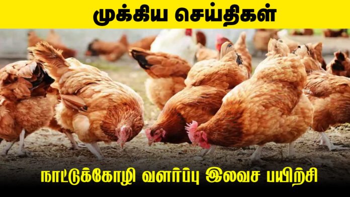🐔 மதுரை வேளாண்மை அறிவியல் நிலையத்தில் நாட்டுக்கோழி வளர்ப்பு இலவச பயிற்சி – 26 நாள் முழுமையான பயிற்சி!