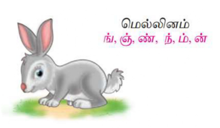 மெல்லினம்‌