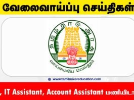 சென்னை மாவட்ட மகளிர் அதிகாரமளிப்பு மையம் வேலைவாய்ப்பு 2025 – MTS, IT Assistant, Account Assistant பணியிடங்கள்! உடனே விண்ணப்பிக்கவும்! 🖥️📋