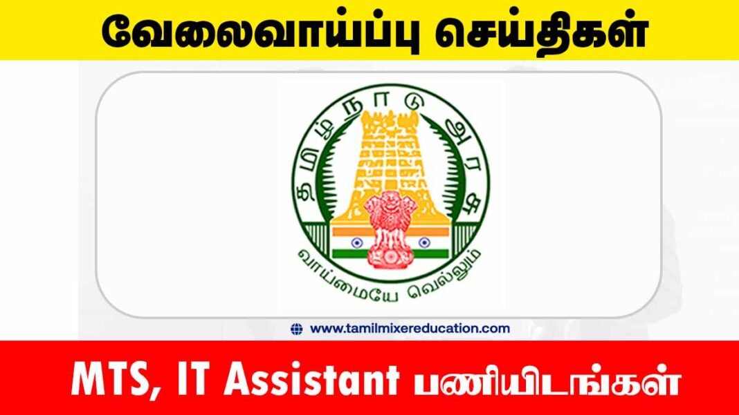 ராணிப்பேட்டை மாவட்ட மகளிர் அதிகாரமளிப்பு மையம் வேலைவாய்ப்பு 2025 – MTS, IT Assistant பணியிடங்கள் அறிவிப்பு! 🖥️📋