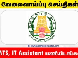 ராணிப்பேட்டை மாவட்ட மகளிர் அதிகாரமளிப்பு மையம் வேலைவாய்ப்பு 2025 – MTS, IT Assistant பணியிடங்கள் அறிவிப்பு! 🖥️📋