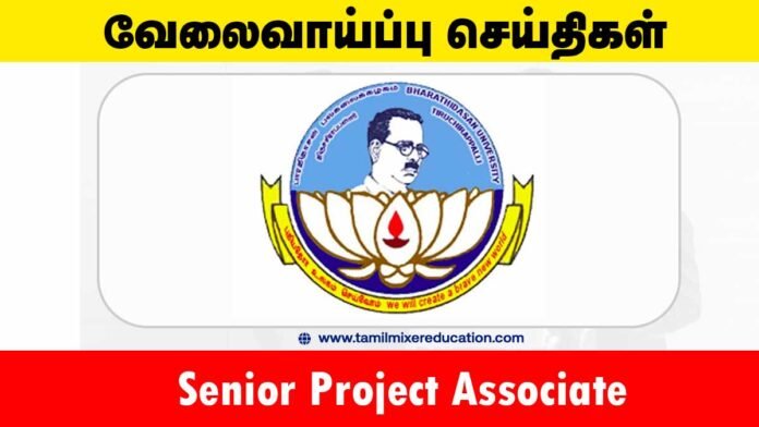 பாரதிதாசன் பல்கலைக்கழகம் வேலைவாய்ப்பு 2025 – Senior Project Associate பணிக்கு ரூ.48,000 சம்பளம்! 📚💼