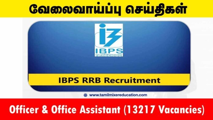 🏦 IBPS வங்கி வேலைவாய்ப்பு 2025 – Officer & Office Assistant (13217 Vacancies)
