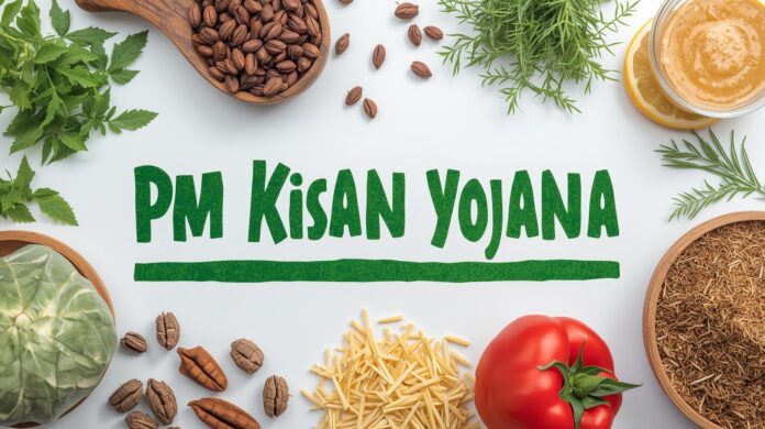 🌾 பிஎம் கிசான் திட்டம் – நவம்பரில் 21வது தவணை ரூ.2000 வழங்கல்! விவசாயிகளுக்கு புதிய கட்டாய விதிமுறைகள் வெளியீடு