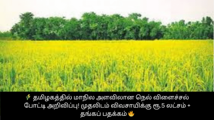 🌾 தமிழகத்தில் மாநில அளவிலான நெல் விளைச்சல் போட்டி அறிவிப்பு! முதலிடம் விவசாயிக்கு ரூ.5 லட்சம் + தங்கப் பதக்கம் 🔥