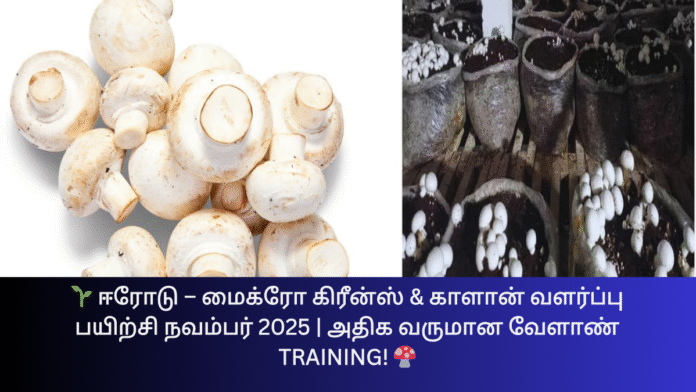 🌱 ஈரோடு – மைக்ரோ கிரீன்ஸ் & காளான் வளர்ப்பு பயிற்சி நவம்பர் 2025 | அதிக வருமான வேளாண் Training! 🍄