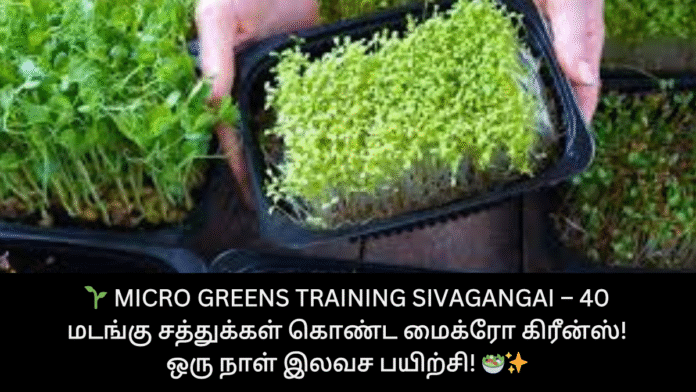🌱 Micro Greens Training Sivagangai – 40 மடங்கு சத்துக்கள் கொண்ட மைக்ரோ கிரீன்ஸ்! ஒரு நாள் இலவச பயிற்சி! 🥗✨