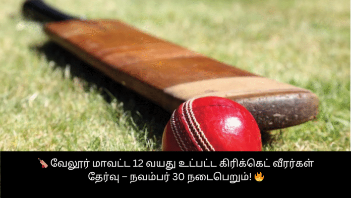 🏏 வேலூர் மாவட்ட 12 வயது உட்பட்ட கிரிக்கெட் வீரர்கள் தேர்வு – நவம்பர் 30 நடைபெறும்! 🔥