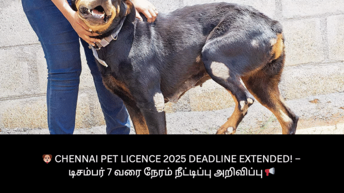 🐶 Chennai Pet Licence 2025 Deadline Extended! – டிசம்பர் 7 வரை நேரம் நீட்டிப்பு அறிவிப்பு 📢