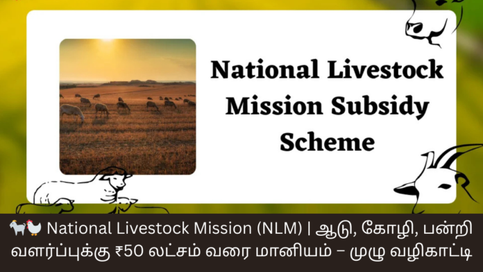 🐐🐓 National Livestock Mission (NLM) | ஆடு, கோழி, பன்றி வளர்ப்புக்கு ₹50 லட்சம் வரை மானியம் – முழு வழிகாட்டி