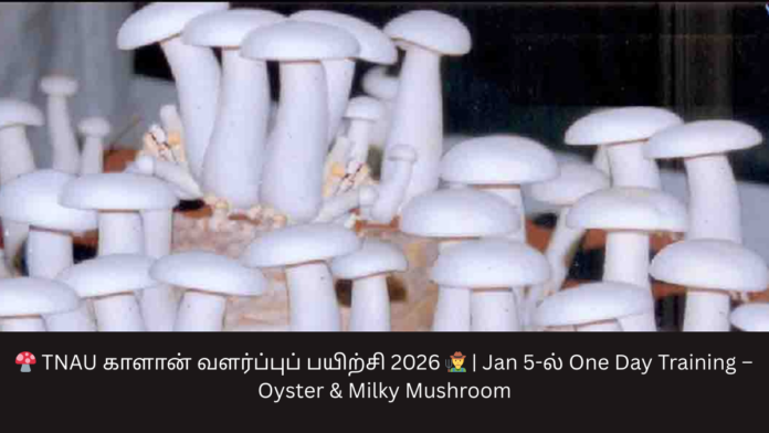 🍄 TNAU காளான் வளர்ப்புப் பயிற்சி 2026 🧑‍🌾 | Jan 5-ல் One Day Training – Oyster & Milky Mushroom