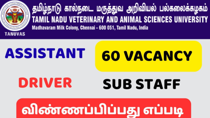 🐄🎓 TANUVAS Recruitment 2026 🔔 | 60 அரசு பணியிடங்கள் | 10th / Graduate / Master’s Apply