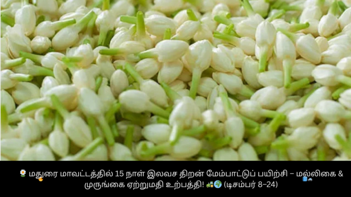 🌼 மதுரை மாவட்டத்தில் 15 நாள் இலவச திறன் மேம்பாட்டுப் பயிற்சி – மல்லிகை & முருங்கை ஏற்றுமதி உற்பத்தி! 🚜🌍 (டிசம்பர் 8–24)