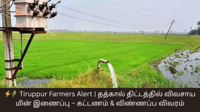 ⚡🌾 Tiruppur Farmers Alert | தத்கால் திட்டத்தில் விவசாய மின் இணைப்பு – கட்டணம் & விண்ணப்ப விவரம்