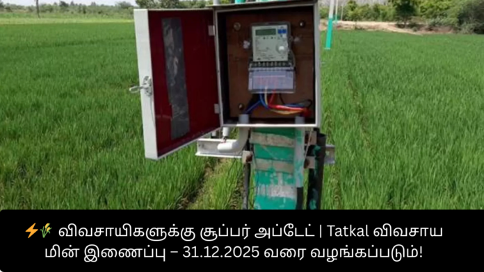 ⚡🌾 விவசாயிகளுக்கு சூப்பர் அப்டேட் | Tatkal விவசாய மின் இணைப்பு – 31.12.2025 வரை வழங்கப்படும்!