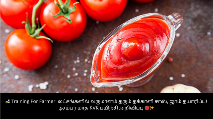 🚜 Training For Farmer: லட்சங்களில் வருமானம் தரும் தக்காளி சாஸ், ஜாம் தயாரிப்பு! டிசம்பர் மாத KVK பயிற்சி அறிவிப்பு 🍅✨