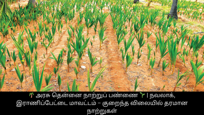 🌴 அரசு தென்னை நாற்றுப் பண்ணை 🌱 | நவலாக், இராணிப்பேட்டை மாவட்டம் – குறைந்த விலையில் தரமான நாற்றுகள்