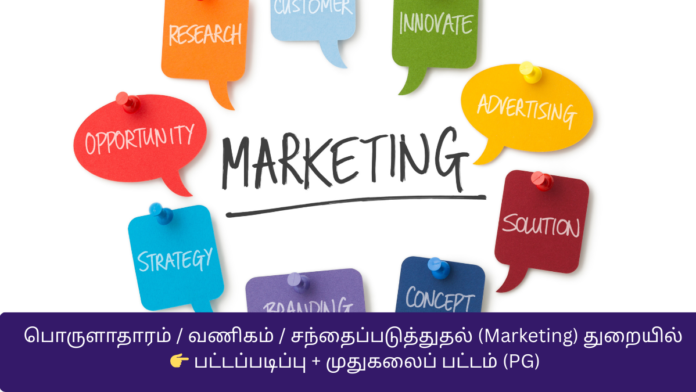 பொருளாதாரம் / வணிகம் / சந்தைப்படுத்துதல் (Marketing) துறையில் 👉 பட்டப்படிப்பு + முதுகலைப் பட்டம் (PG)