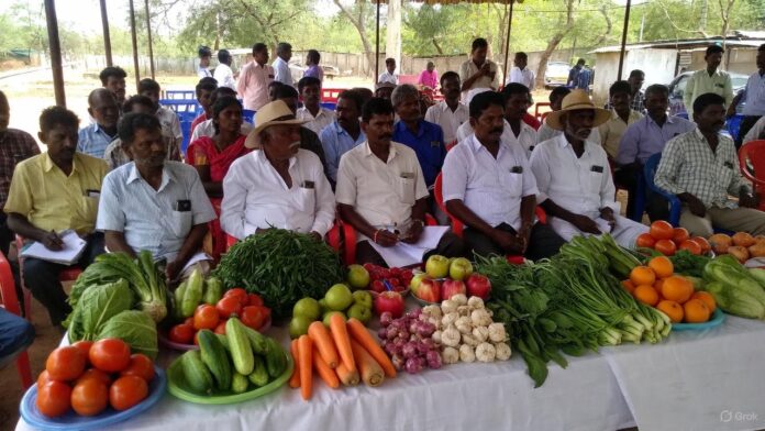 🥕 விவசாயிகளுக்கு இலவச Vegetable Processing Training! 💥 சேலம் சந்தியூர் வேளாண் அறிவியல் நிலையத்தில் அரிய வாய்ப்பு
