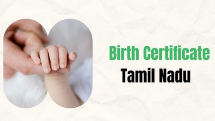 📜 Birth Certificate Name Update – கடைசி வாய்ப்பு! | செப்.26 வரை அவகாசம் – Govt Circular Alert 🚨