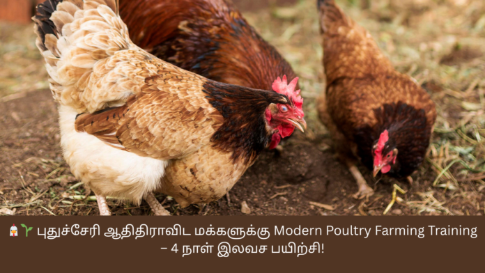 🐔🌱 புதுச்சேரி ஆதிதிராவிட மக்களுக்கு Modern Poultry Farming Training – 4 நாள் இலவச பயிற்சி!