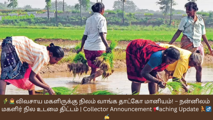 🌾👩‍🌾 விவசாய மகளிருக்கு நிலம் வாங்க தாட்கோ மானியம்! – நன்னிலம் மகளிர் நில உடமை திட்டம் | Collector Announcement 📢