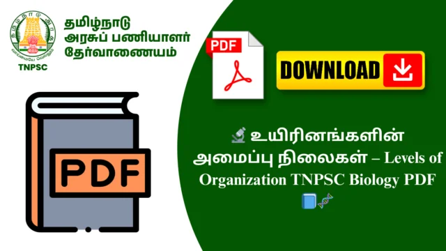 🔬 உயிரினங்களின் அமைப்பு நிலைகள் – Levels of Organization TNPSC Biology PDF 📘🧬