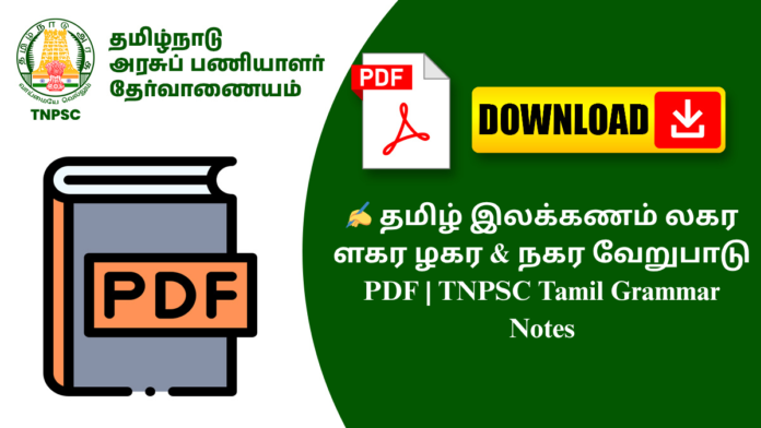 ✍️ தமிழ் இலக்கணம் லகர ளகர ழகர & நகர வேறுபாடு PDF | TNPSC Tamil Grammar Notes