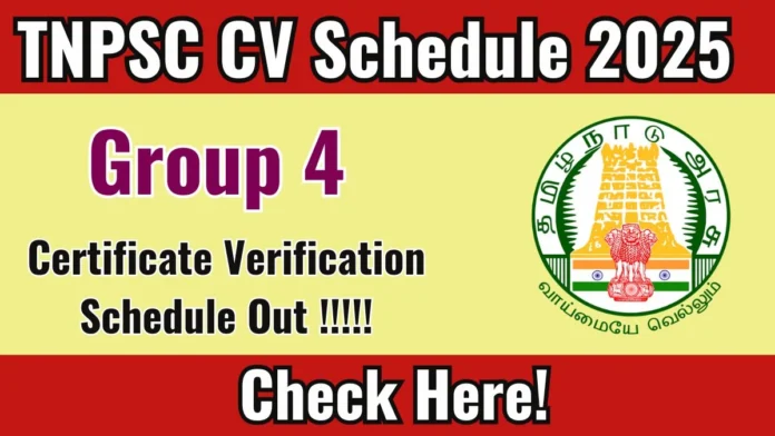 📢 TNPSC Group 4 2025 Phase III CV List வெளியீடு! – Download PDF & CV Date Details 🔥
