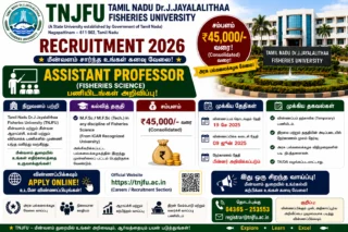 🎓 TNJFU Recruitment 2026: ₹45,000 வரை சம்பளத்தில் Assistant Professor வேலை – M.F.Sc Candidates Apply Now!