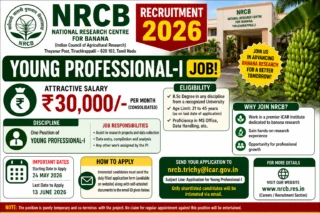 🍌 NRCB Trichy Recruitment 2026 – ₹30,000 சம்பளத்தில் Young Professional-I Job! B.Sc Candidates Apply