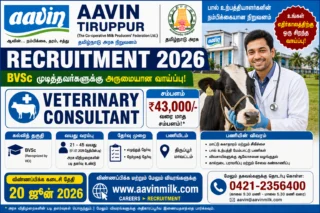 🐄 Aavin Tiruppur Recruitment 2026 – BVSc முடித்தவர்களுக்கு ₹43,000 சம்பளத்தில் Veterinary Consultant வாய்ப்பு!