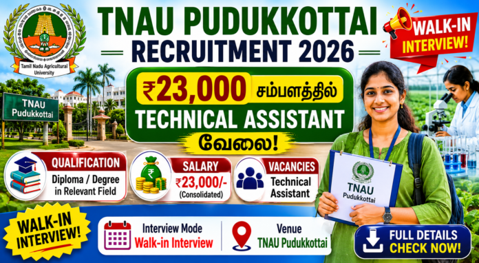 🌾 TNAU Pudukkottai Recruitment 2026: ₹23,000 சம்பளத்தில் Technical Assistant வேலை – Walk-in Interview!