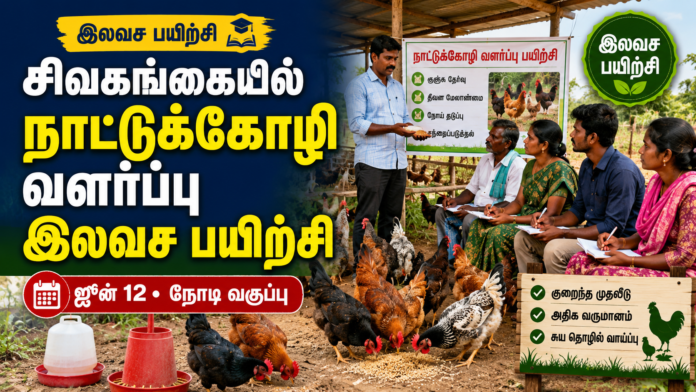 🐔 சிவகங்கையில் நாட்டுக்கோழி வளர்ப்பு இலவச பயிற்சி – ஜூன் 12 அன்று நேரடி வகுப்பு!
